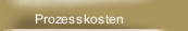 Prozesskosten