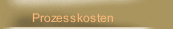 Prozesskosten